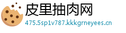 皮里抽肉网